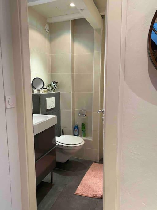 Charmant Duplex Privatise, Climatise, 2 Chambres 스트라스부르 외부 사진