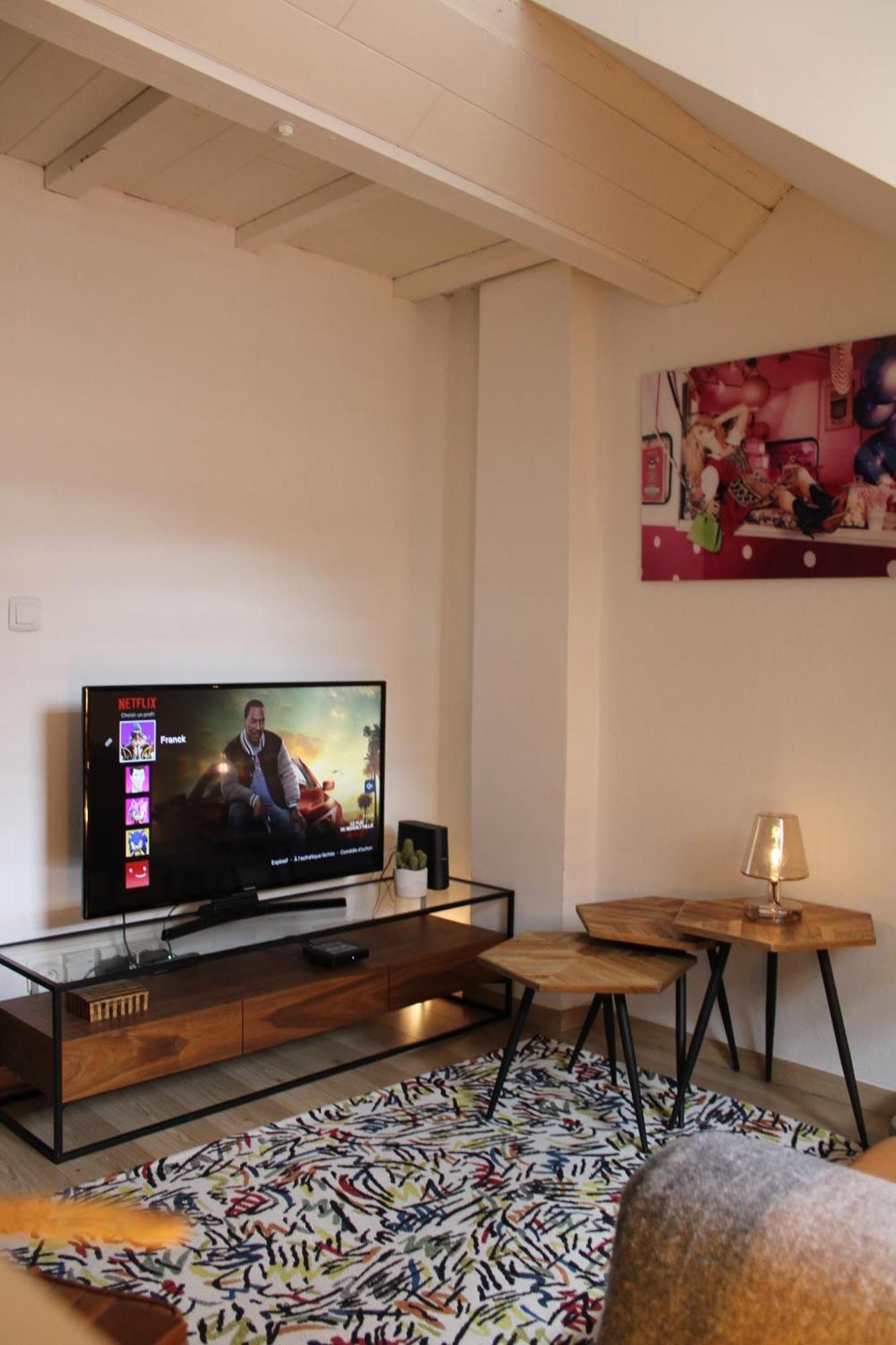 Charmant Duplex Privatise, Climatise, 2 Chambres 스트라스부르 외부 사진