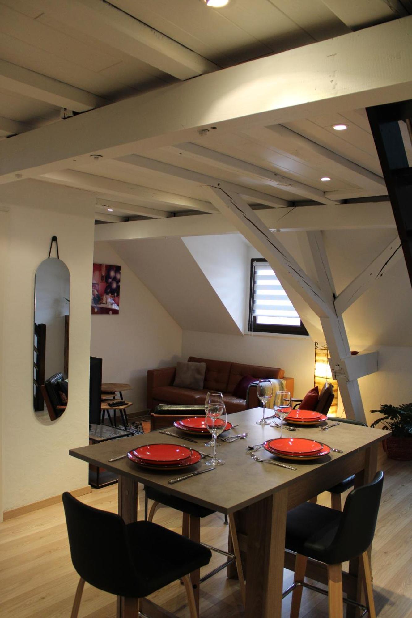 Charmant Duplex Privatise, Climatise, 2 Chambres 스트라스부르 외부 사진